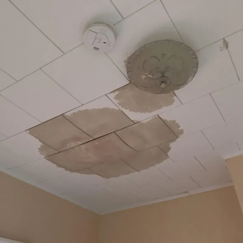 Ceiling Water Damage Repair in Russellville, AR