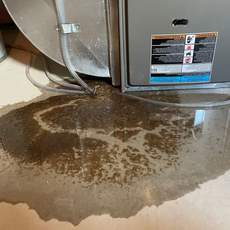 Pipe Burst and Leak Restoration in Russellville, AR